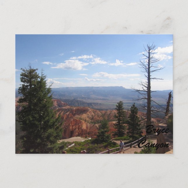Bryce Canyon Postcard (Front)