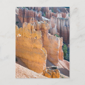 Bryce Canyon Postcard