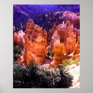 Bryce Canyon Print