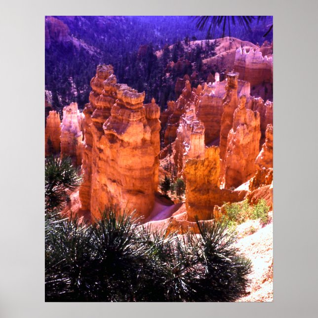 Bryce Canyon Print (Front)