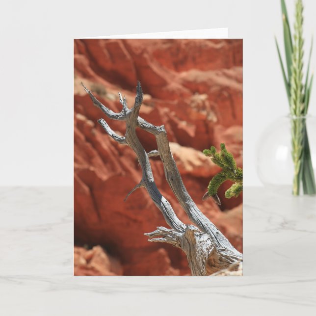 Bryce Canyon Scene Card (Front)