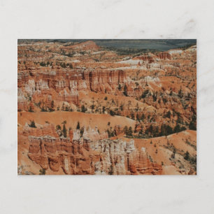 Bryce Canyon, Ut Postcard