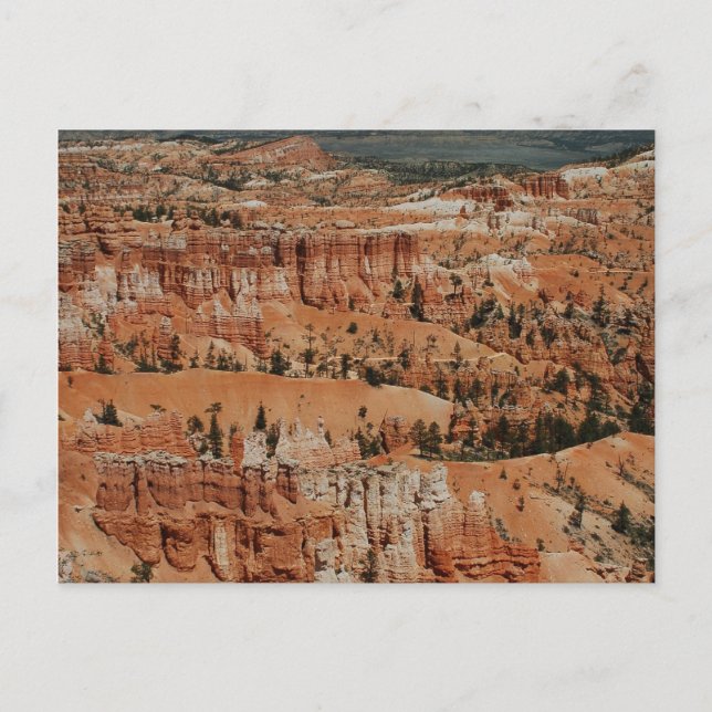 Bryce Canyon, Ut Postcard (Front)