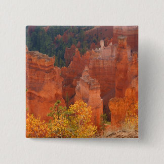 Bryce Canyon Utah 15 Cm Square Badge