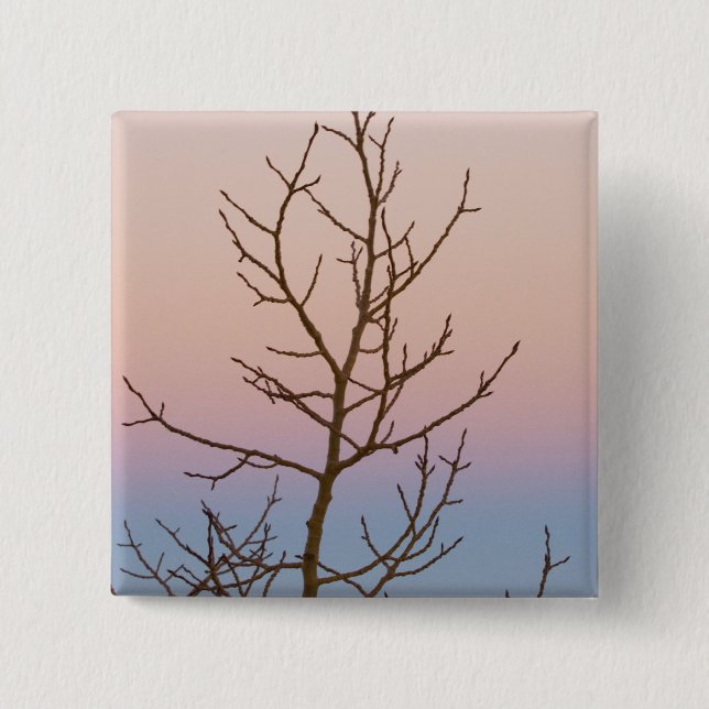 Bryce Canyon, Utah. Bare tree in front of sunset 15 Cm Square Badge (Front)
