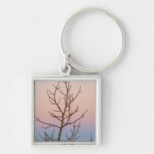 Bryce Canyon, Utah. Bare tree in front of sunset Key Ring