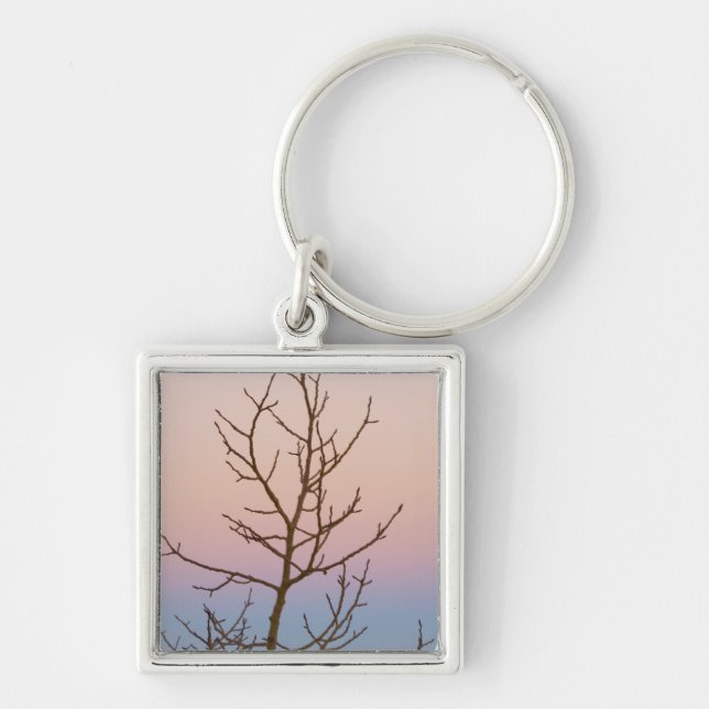 Bryce Canyon, Utah. Bare tree in front of sunset Key Ring (Front)