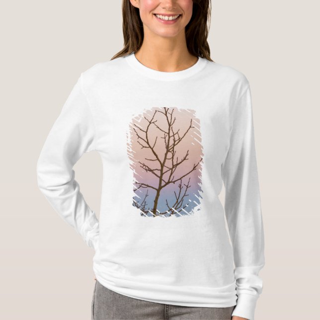 Bryce Canyon, Utah. Bare tree in front of sunset T-Shirt (Front)