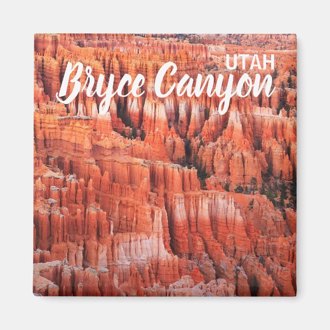 Bryce Canyon Utah Magnet (Front)