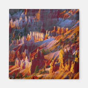 Bryce Canyon, Utah, USA 2 Magnet