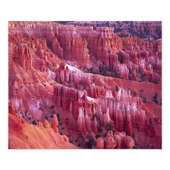 Bryce Canyon, Utah, USA Photo Print (Front)