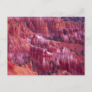 Bryce Canyon, Utah, USA Postcard