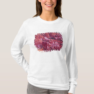 Bryce Canyon, Utah, USA T-Shirt