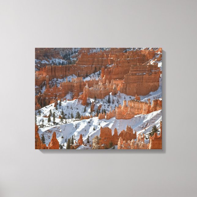 Bryce in Winter Canvas Print (Front)
