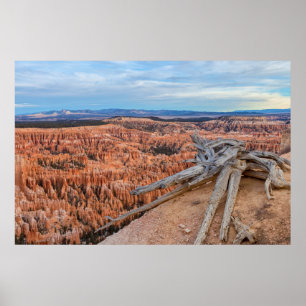 Bryce National Park Canyon Sunrise Poster