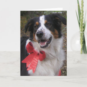 "Bryn With a Bow" Holiday Card