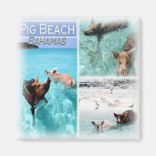 BS0018 America, Bahamas, Fridge Magnet