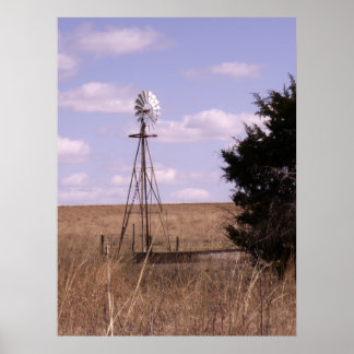 BSFL Windmill Poster