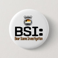 BSI: Bear Scene Investigation