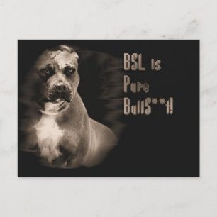 BSL is BS Post card
