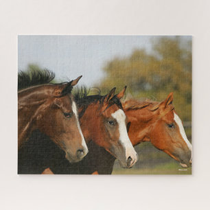 BThree Quarter Horses Running Headshots Jigsaw Puzzle