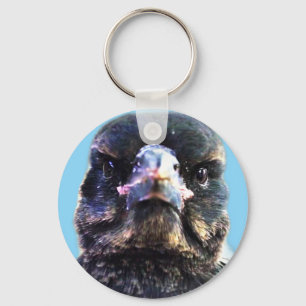 Bub the Australian Rescued Magpie Key Ring