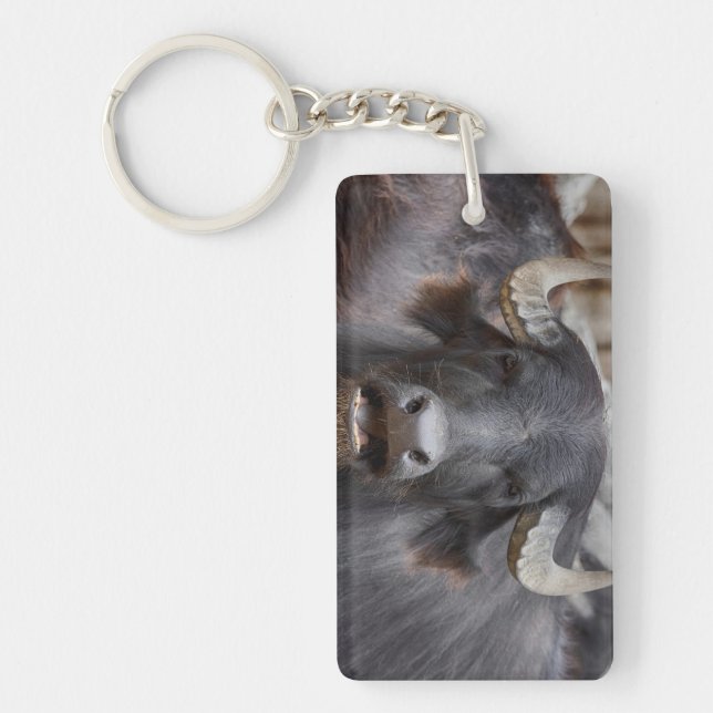 Bubalus bubalis key ring (Front)