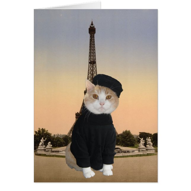 Bubba Kitty in Paris (Front)