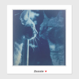 Bubba the Cat Pillow Case