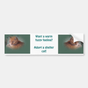 Bubba the Orange Tabby Tomcat Bumper Sticker