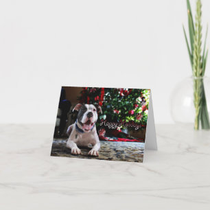 Bubba's Holiday Wishes