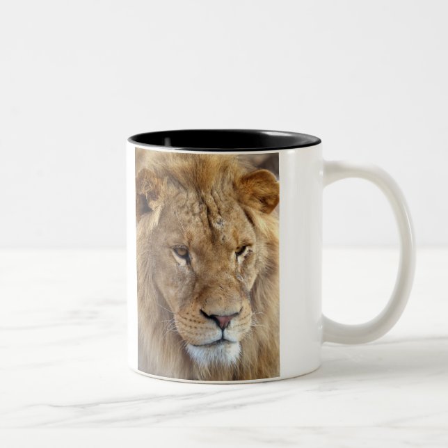 Bubba's Lion mug.. Two-Tone Coffee Mug (Right)