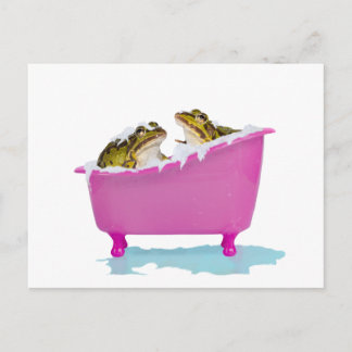 Bubble bath for pet frogs postcard