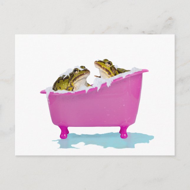Bubble bath for pet frogs postcard (Front)
