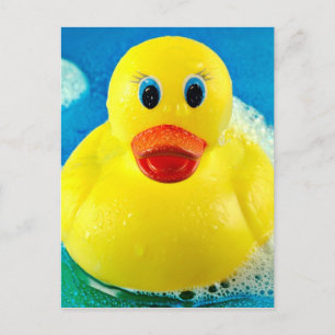 Bubble Duck Postcard