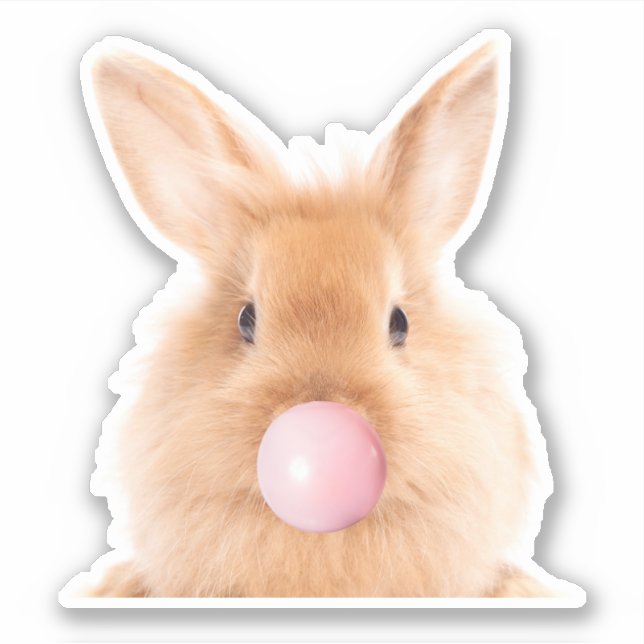 Bubble Gum Bunny Vinyl Sticker (Front)
