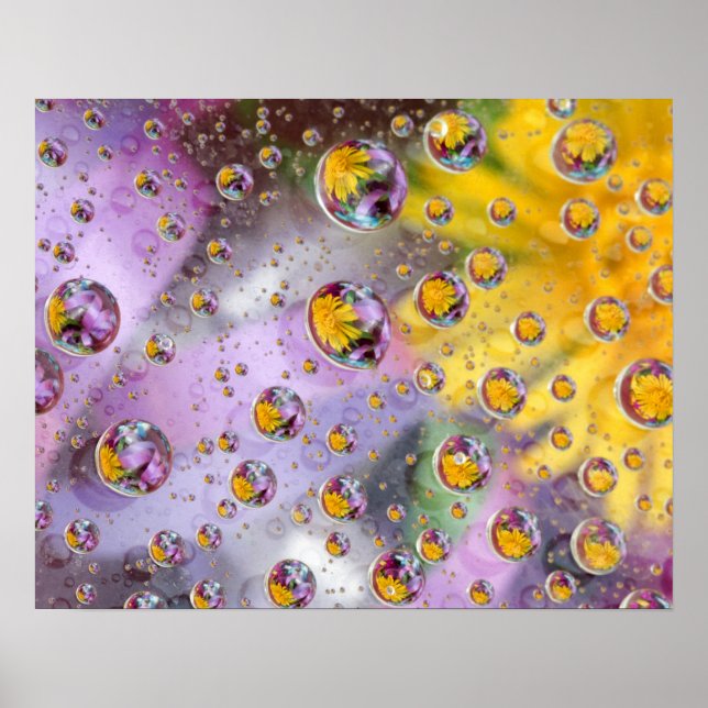 Bubbles abstract with flowers. Credit as: Nancy Poster (Front)
