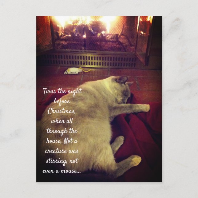 Bubbles Sleeping by the Fire Postcard (Front)