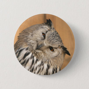 Bubo bubo sibiricus 6 cm round badge