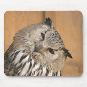 Bubo bubo sibiricus mouse mat