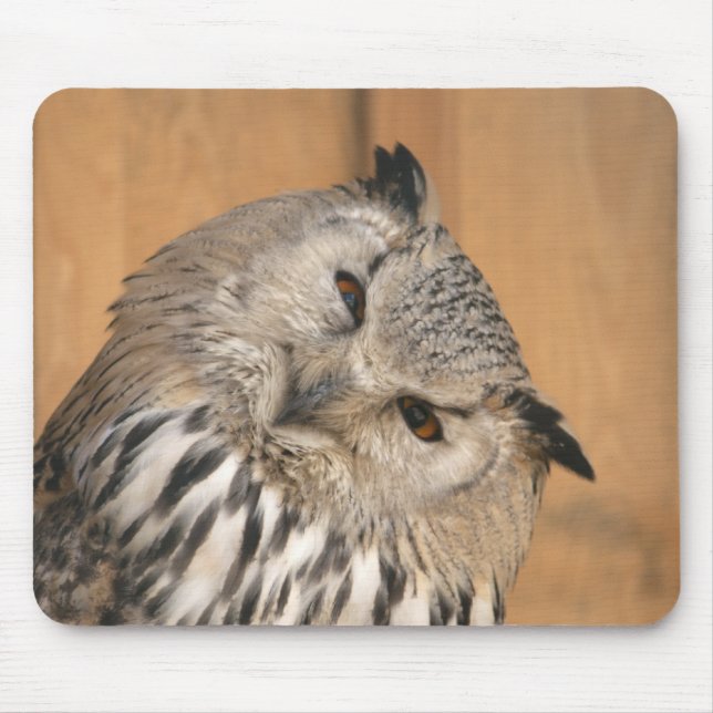 Bubo bubo sibiricus mouse mat (Front)