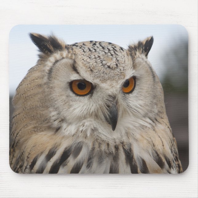 Bubo bubo sibiricus mouse mat (Front)