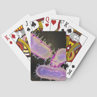 Bubonic Plague Playing cards