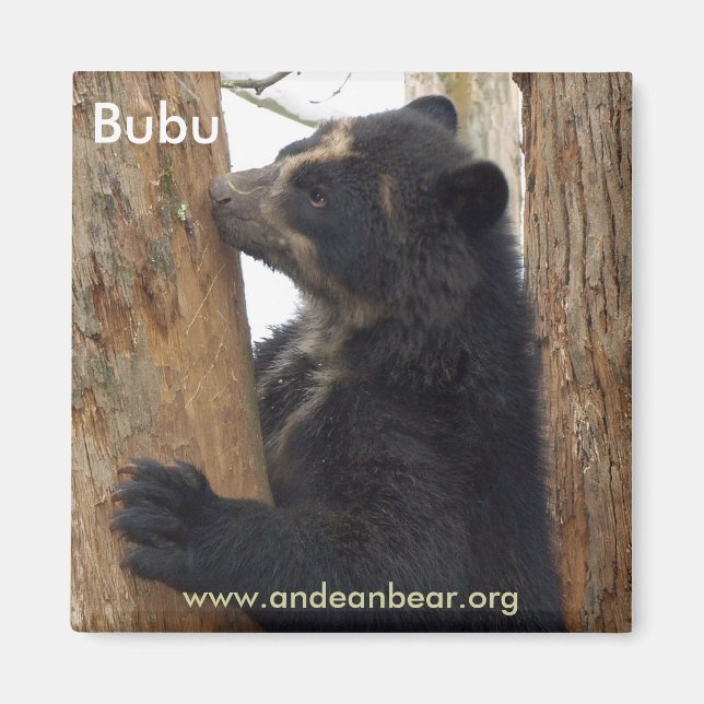 Bubu bear magnet (Front)