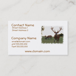 Buck Business Cards