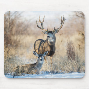 Buck Couple   Mule Deer Mouse Mat