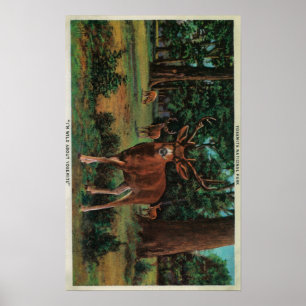 Buck Deer at Yosemite National Park Poster