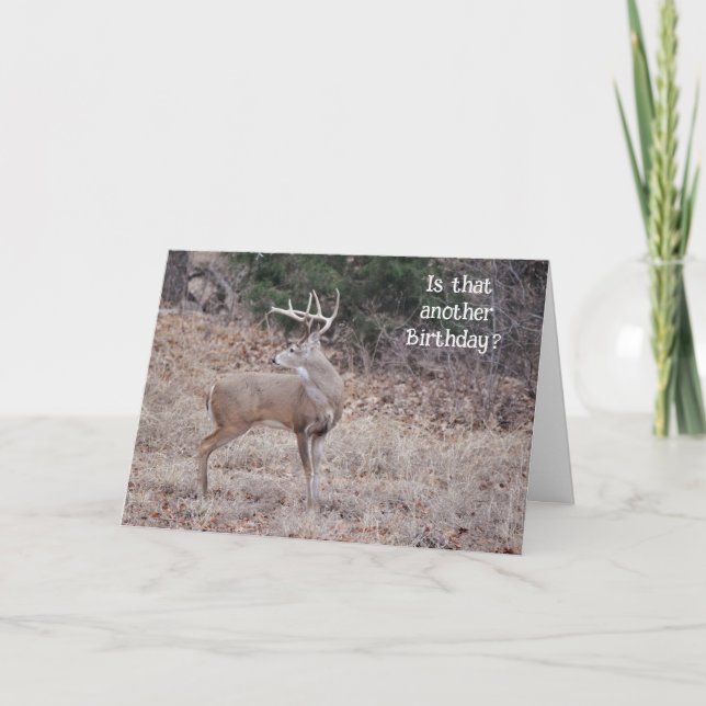 Buck Deer Hunter Deer Lover Fun Birthday Card (Front)