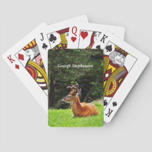 Buck Deer in wooded pasture Personalise Playing Cards