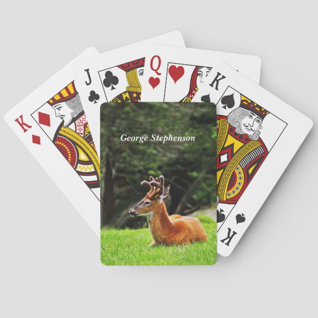 Buck Deer in wooded pasture Personalise Playing Cards (Back)
